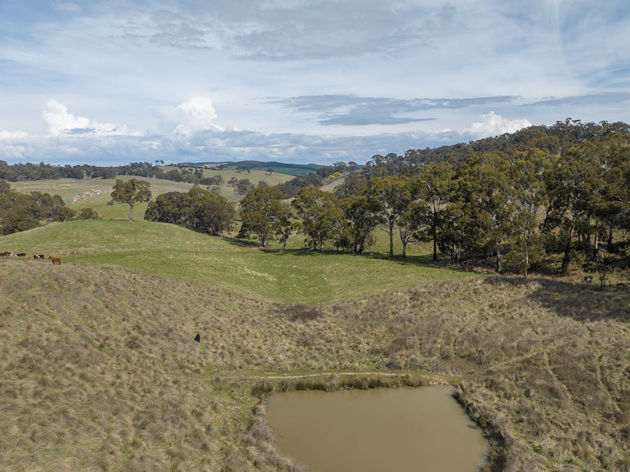 1021 O'Connell Road, Oberon, NSW, 2787 - Image 3