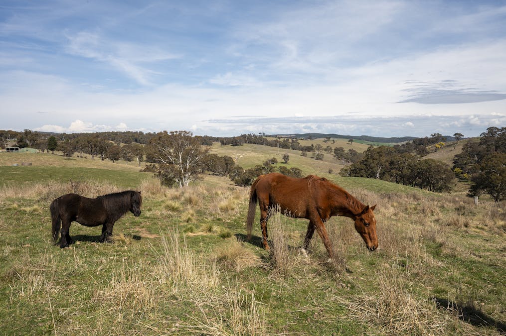 1021 O'Connell Road, Oberon, NSW, 2787 - Image 14