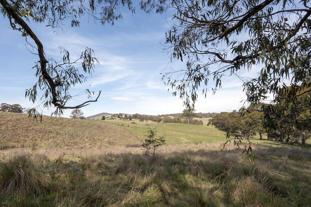 1021 O'Connell Road, Oberon, NSW, 2787 - Image 9