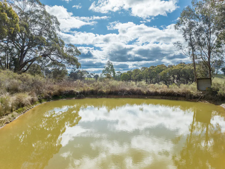 903 O'Connell Road, Oberon, NSW, 2787 - Image 5