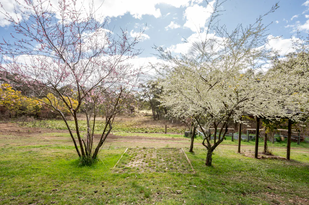 903 O'Connell Road, Oberon, NSW, 2787 - Image 6