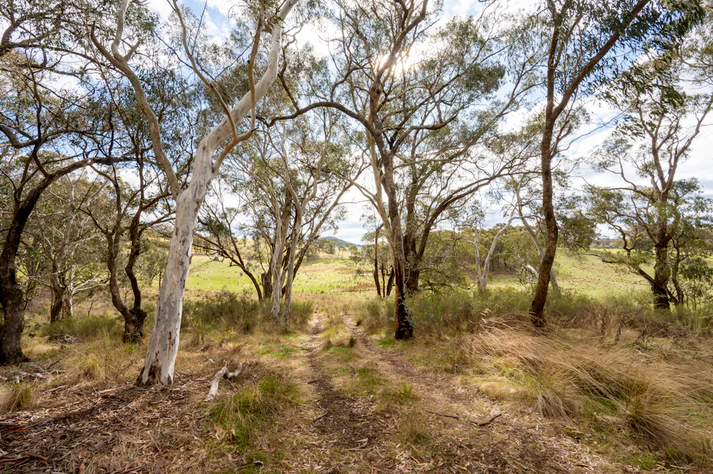 903 O'Connell Road, Oberon, NSW, 2787 - Image 10