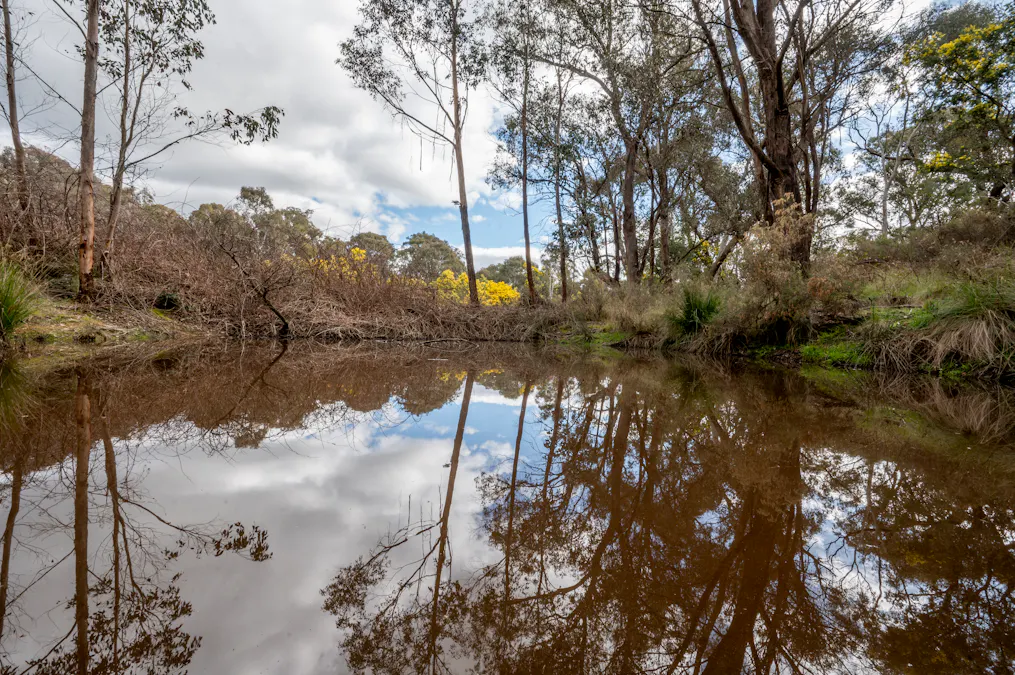 903 O'Connell Road, Oberon, NSW, 2787 - Image 4