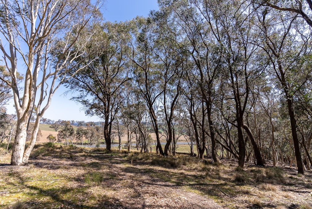 740 O'connell Road, Oberon, NSW, 2787 - Image 23
