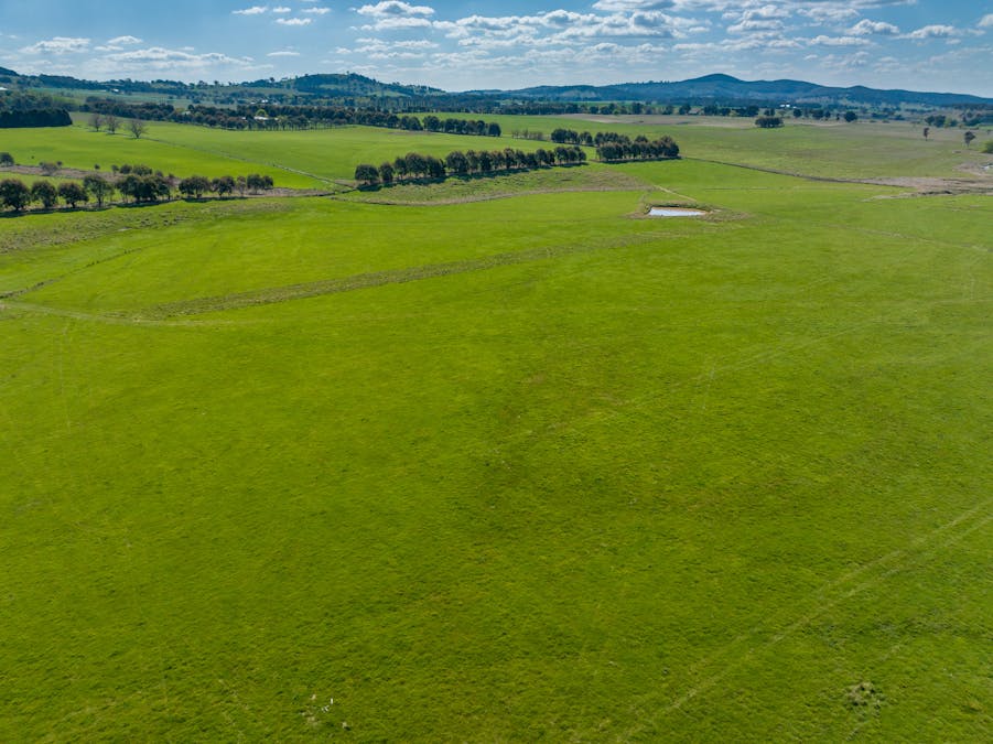 548 Emu Swamp Road, Orange, NSW, 2800 - Image 20