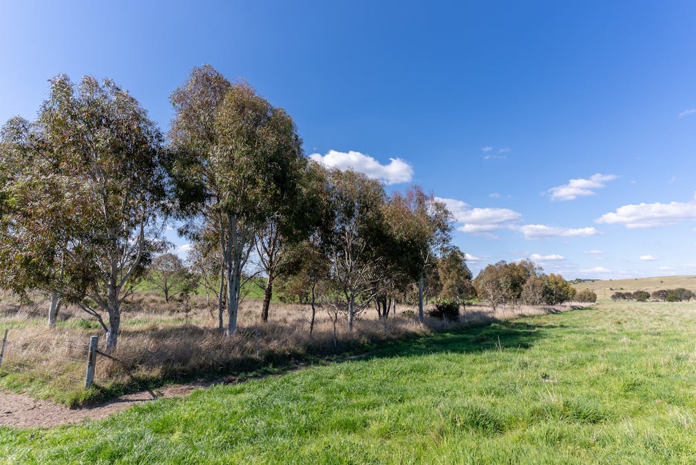 548 Emu Swamp Road, Orange, NSW, 2800 - Image 28