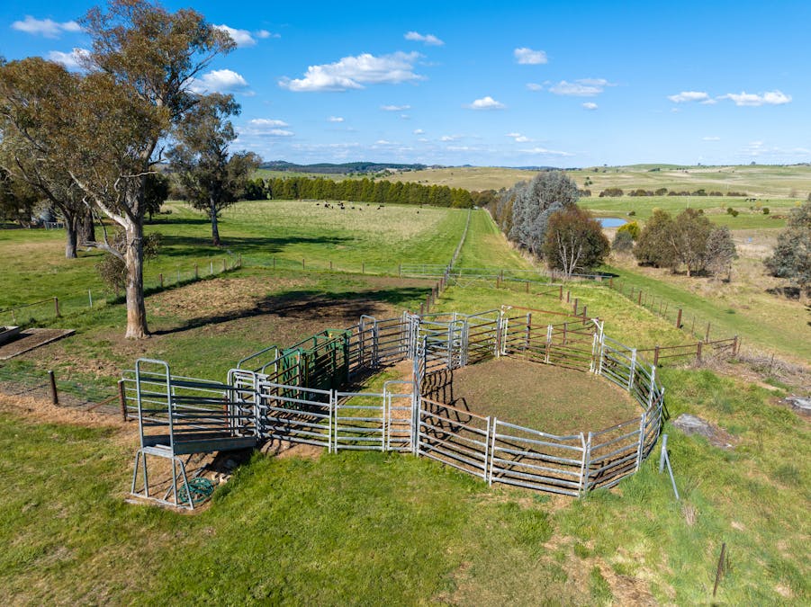 548 Emu Swamp Road, Orange, NSW, 2800 - Image 15
