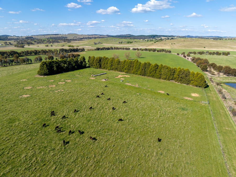548 Emu Swamp Road, Orange, NSW, 2800 - Image 16
