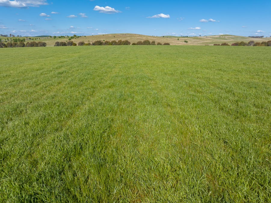 548 Emu Swamp Road, Orange, NSW, 2800 - Image 27