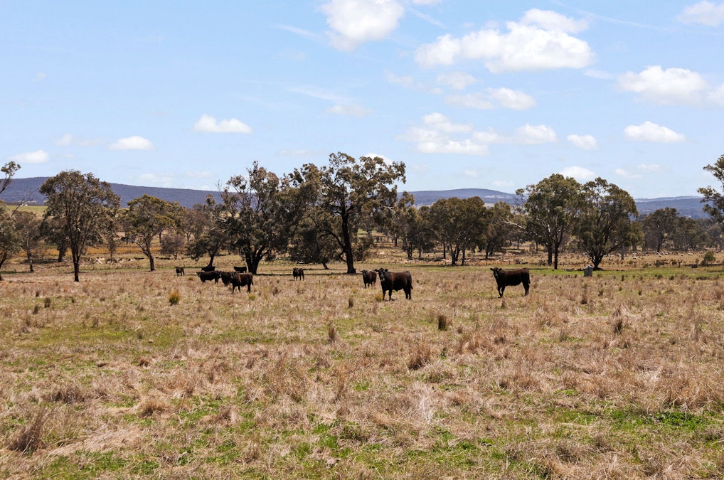 1910 Lagoon Road, Bathurst, NSW, 2795 - Image 7