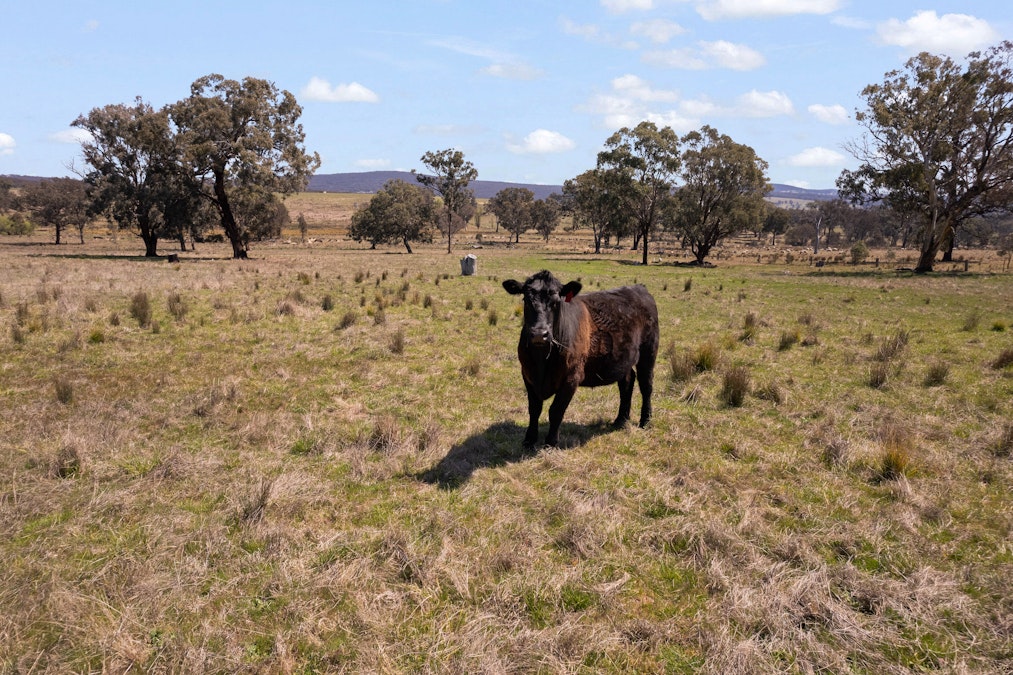 1910 Lagoon Road, Bathurst, NSW, 2795 - Image 20