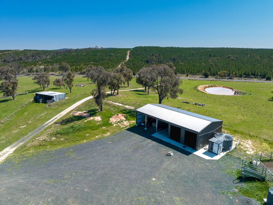 2641 Burraga Road, Burraga, NSW, 2795 - Image 4