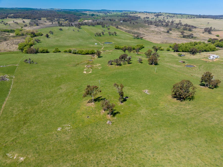 2641 Burraga Road, Burraga, NSW, 2795 - Image 7