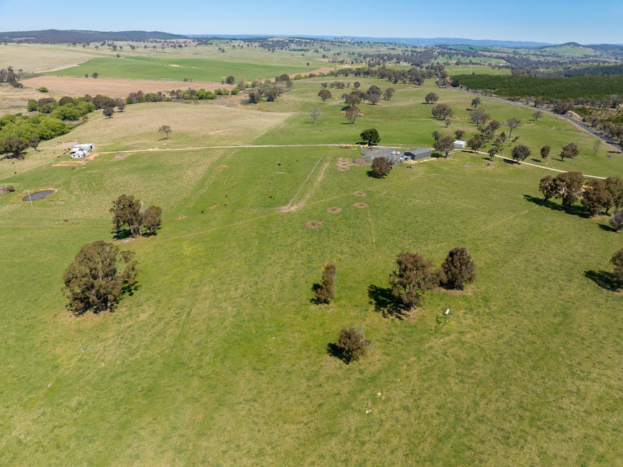 2641 Burraga Road, Burraga, NSW, 2795 - Image 8