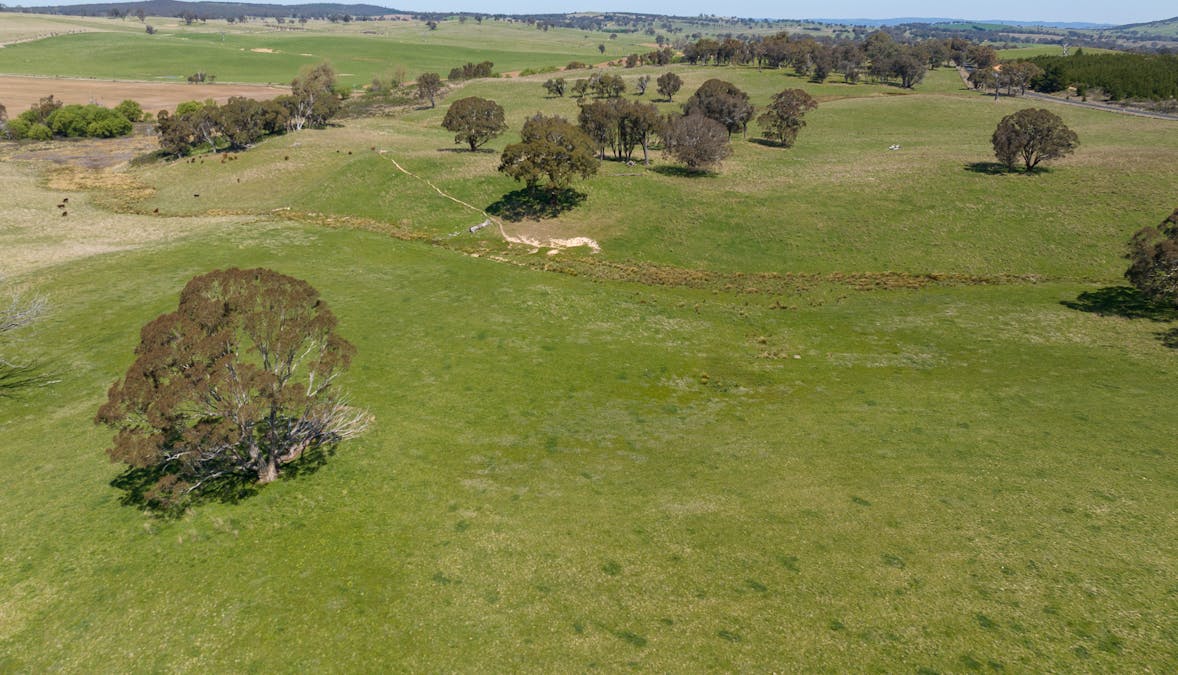 2641 Burraga Road, Burraga, NSW, 2795 - Image 10