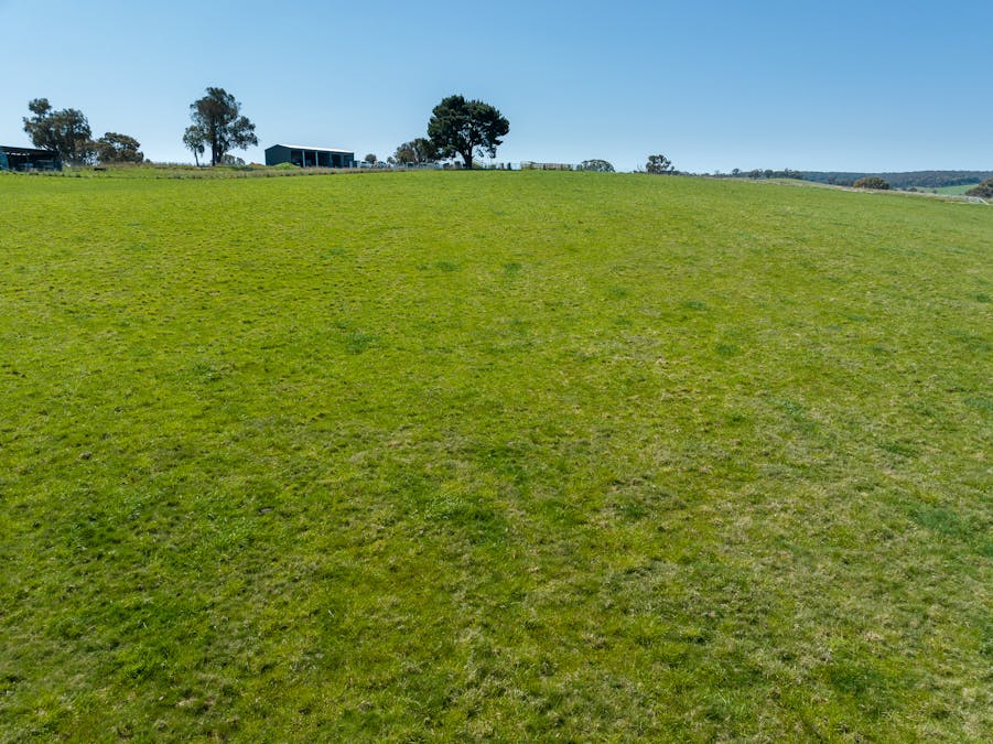2641 Burraga Road, Burraga, NSW, 2795 - Image 11