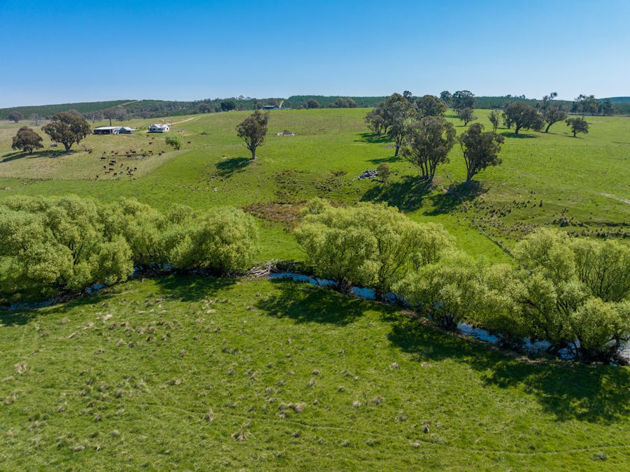 2641 Burraga Road, Burraga, NSW, 2795 - Image 13