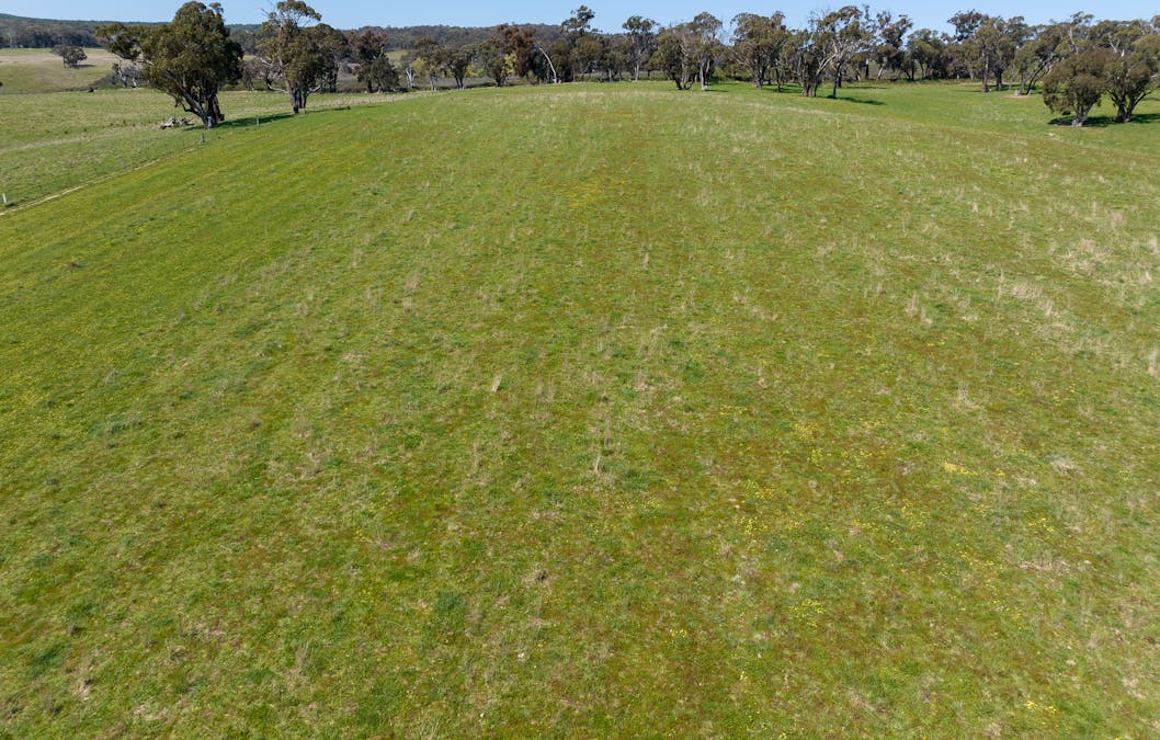 2641 Burraga Road, Burraga, NSW, 2795 - Image 17