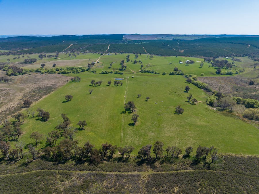 2641 Burraga Road, Burraga, NSW, 2795 - Image 14