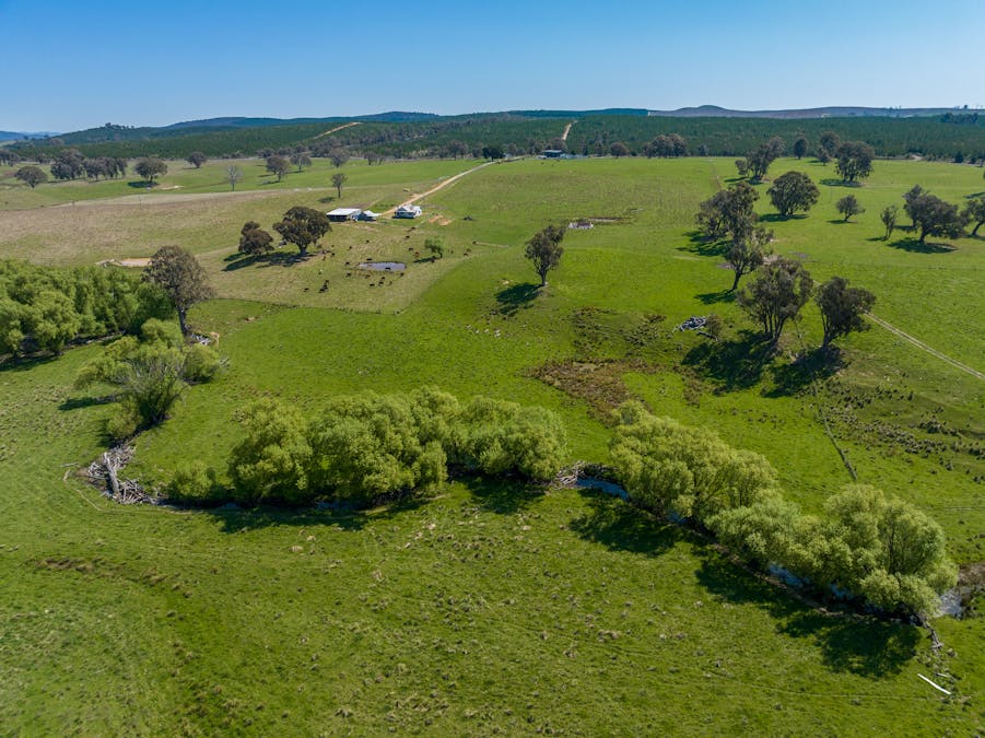2641 Burraga Road, Burraga, NSW, 2795 - Image 23