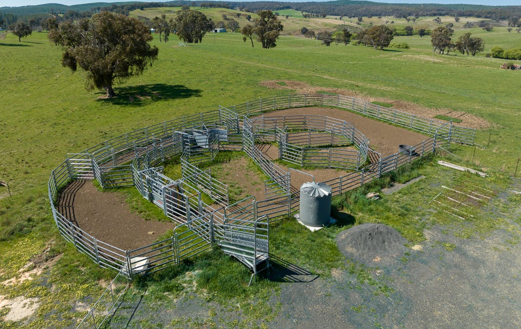 2641 Burraga Road, Burraga, NSW, 2795 - Image 16