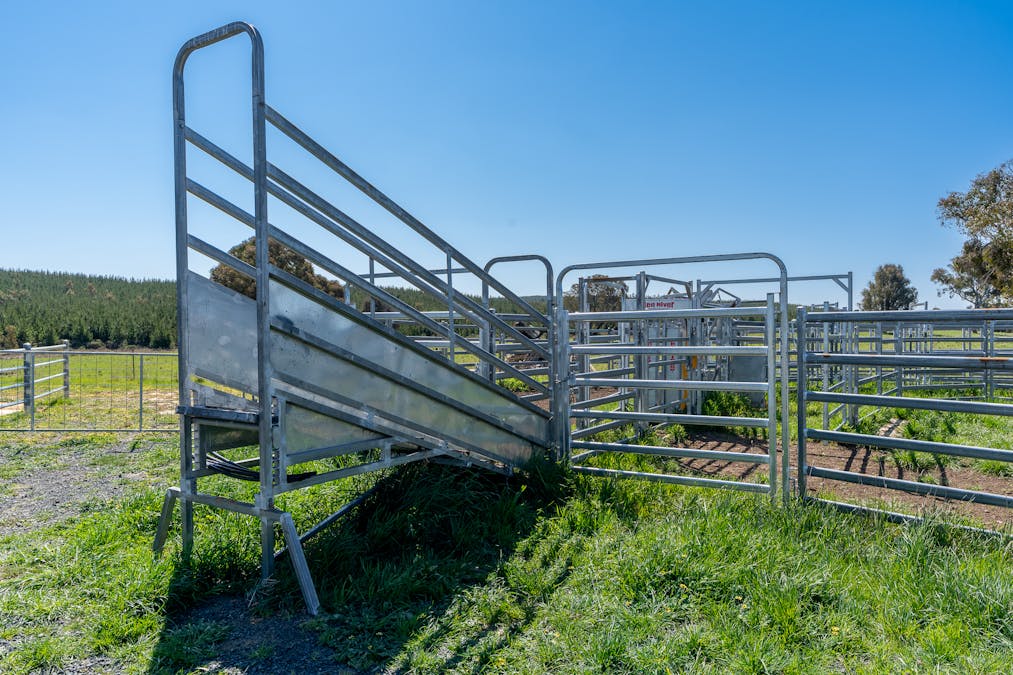 2641 Burraga Road, Burraga, NSW, 2795 - Image 21