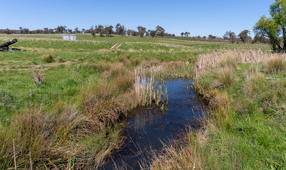 2641 Burraga Road, Burraga, NSW, 2795 - Image 26