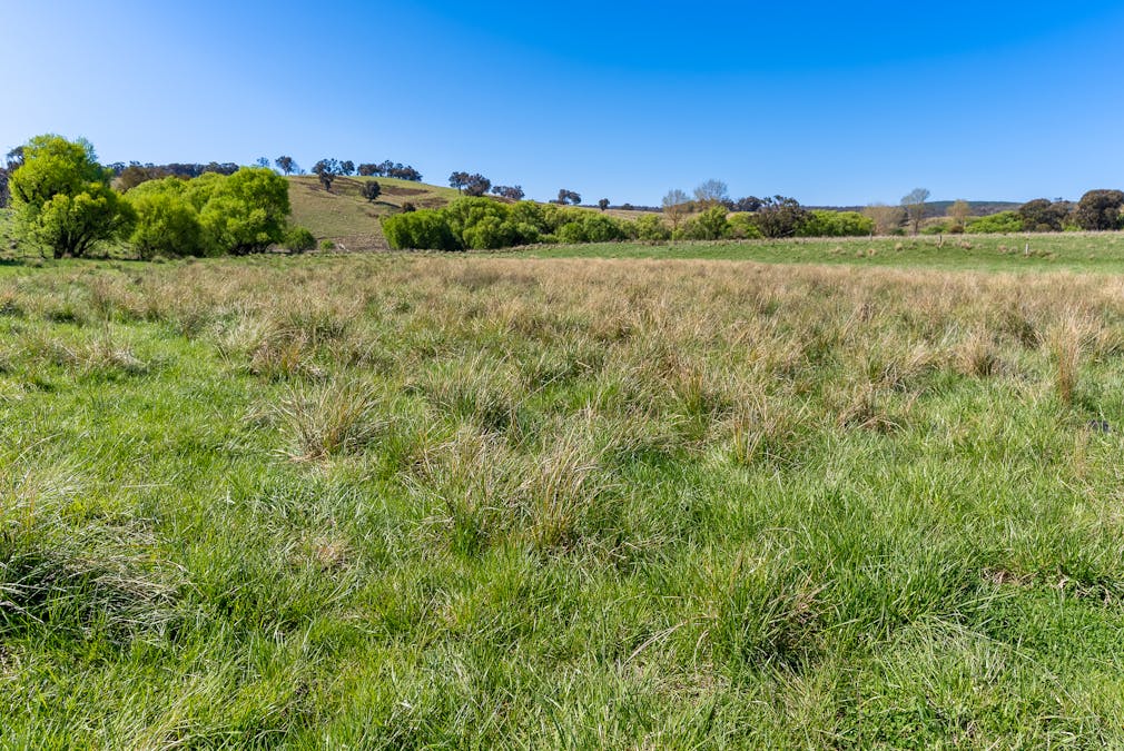 2641 Burraga Road, Burraga, NSW, 2795 - Image 27