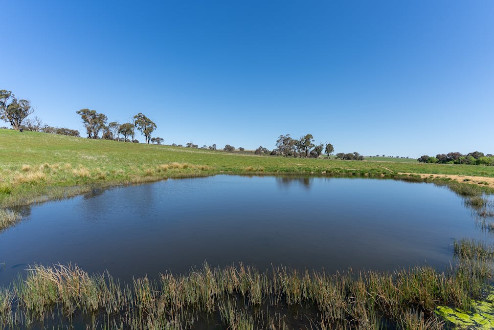 2641 Burraga Road, Burraga, NSW, 2795 - Image 2