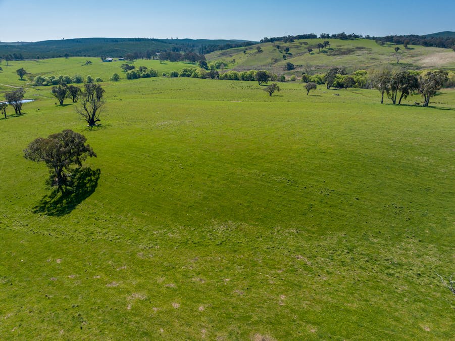 2641 Burraga Road, Burraga, NSW, 2795 - Image 28