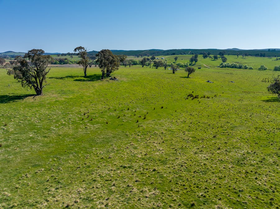 2641 Burraga Road, Burraga, NSW, 2795 - Image 29