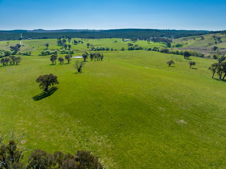 2641 Burraga Road, Burraga, NSW, 2795 - Image 30