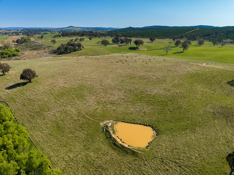 2641 Burraga Road, Burraga, NSW, 2795 - Image 32