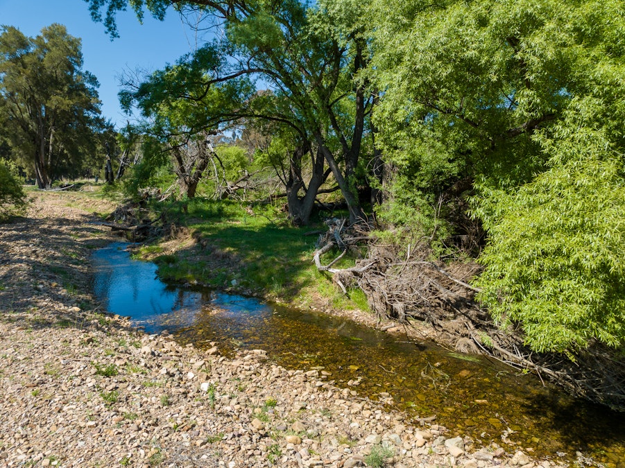 127 Winburndale Dam Road, Napoleon Reef, NSW, 2795 - Image 12