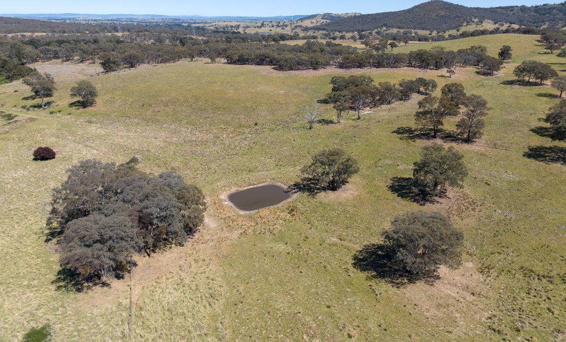 127 Winburndale Dam Road, Napoleon Reef, NSW, 2795 - Image 21