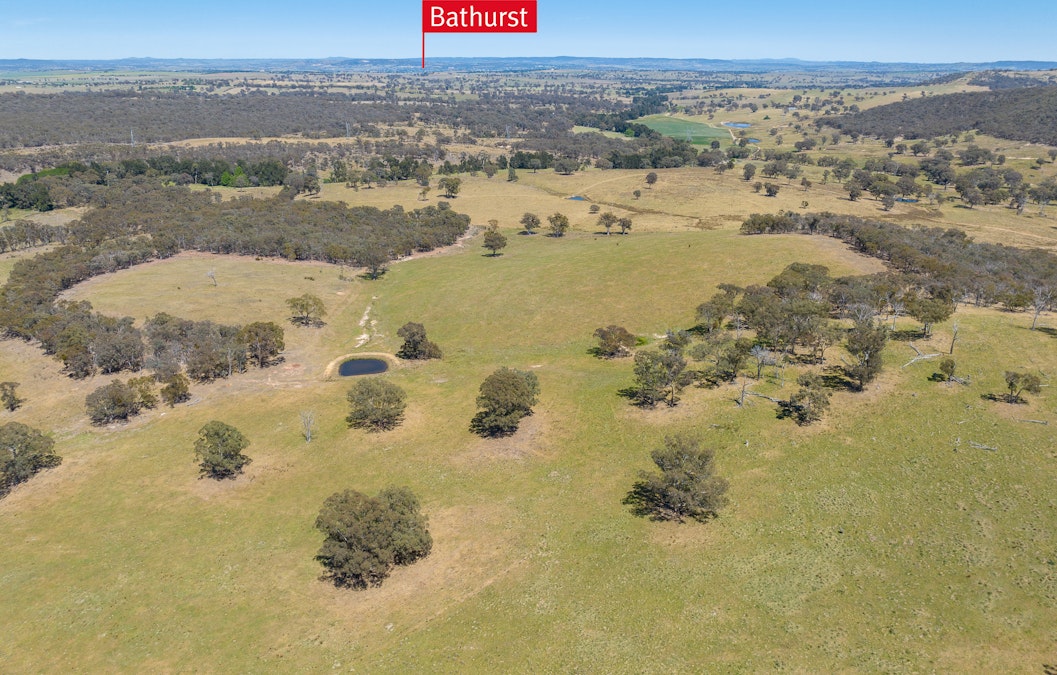 127 Winburndale Dam Road, Napoleon Reef, NSW, 2795 - Image 3