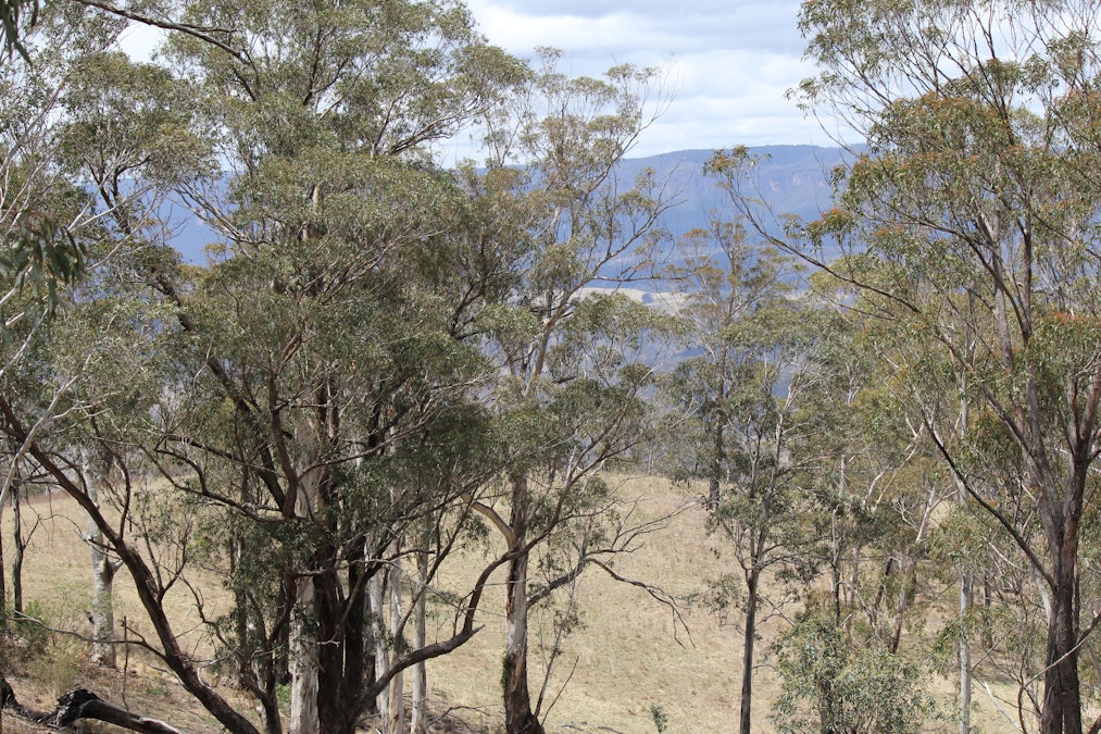 Lot 51 Glen Chee Road, Kanimbla, NSW, 2790 - Image 12