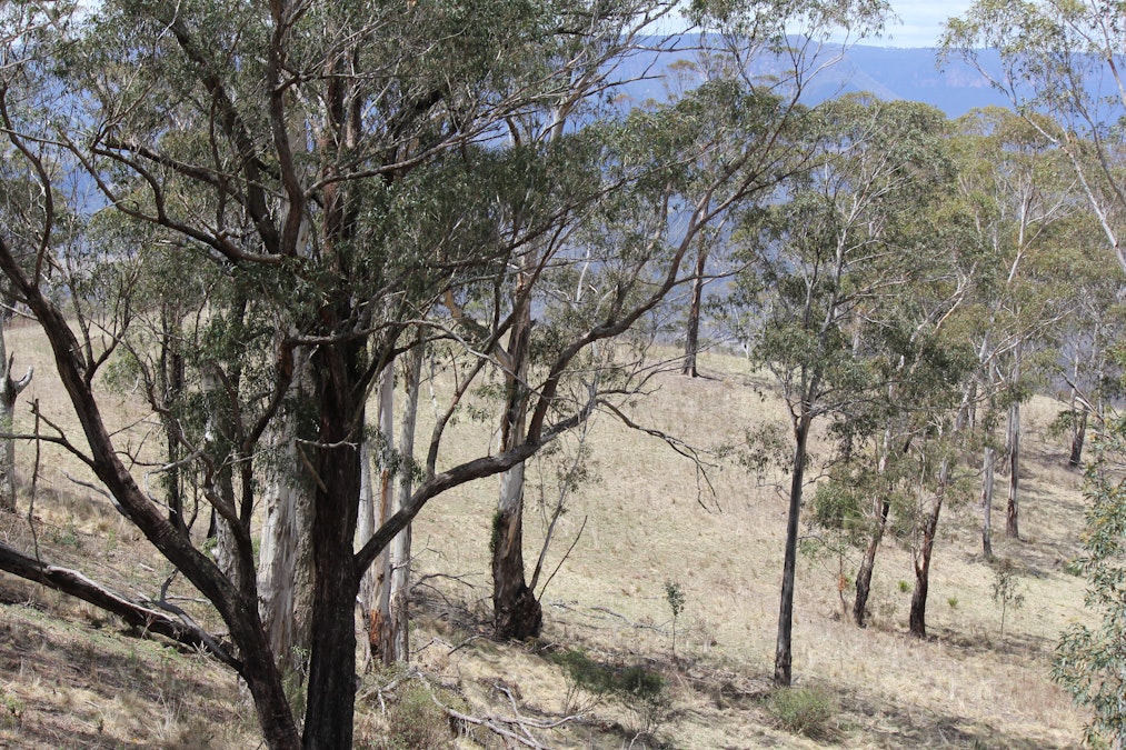 Lot 51 Glen Chee Road, Kanimbla, NSW, 2790 - Image 13