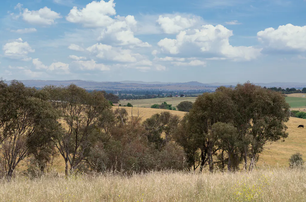 110 Hollis Lane, Perthville, NSW, 2795 - Image 15