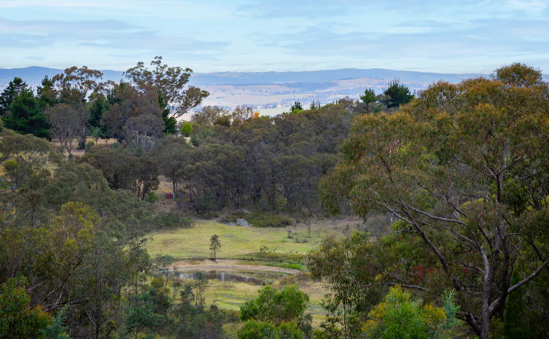123 Billywillinga Rd, Billywillinga, NSW, 2795 - Image 12