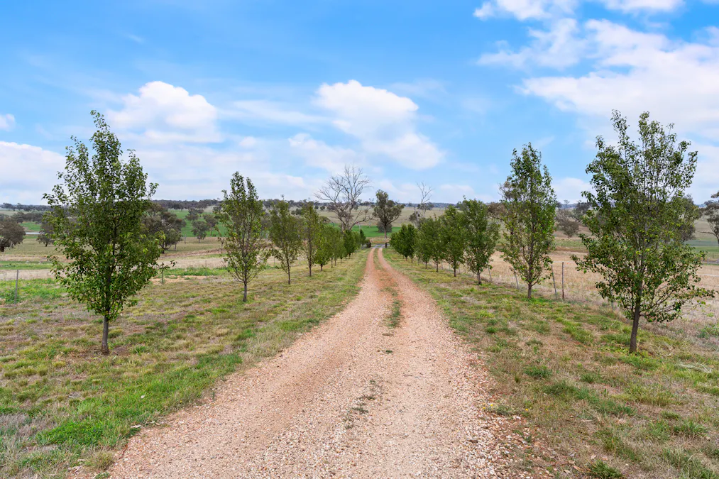 271 Yuranigh Road, Molong, NSW, 2866 - Image 25