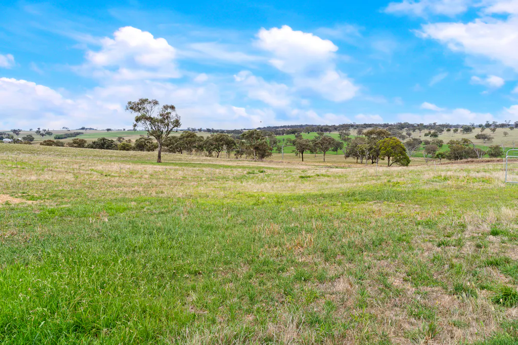 271 Yuranigh Road, Molong, NSW, 2866 - Image 24