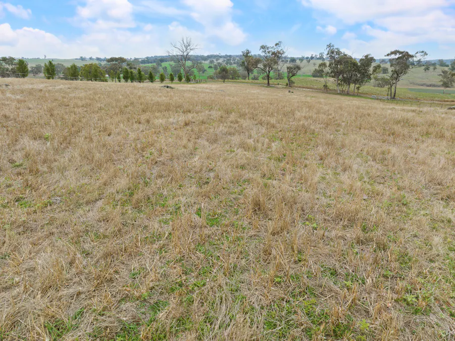 271 Yuranigh Road, Molong, NSW, 2866 - Image 23