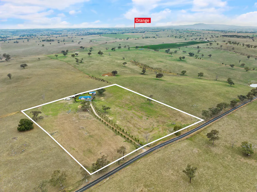 271 Yuranigh Road, Molong, NSW, 2866 - Image 3