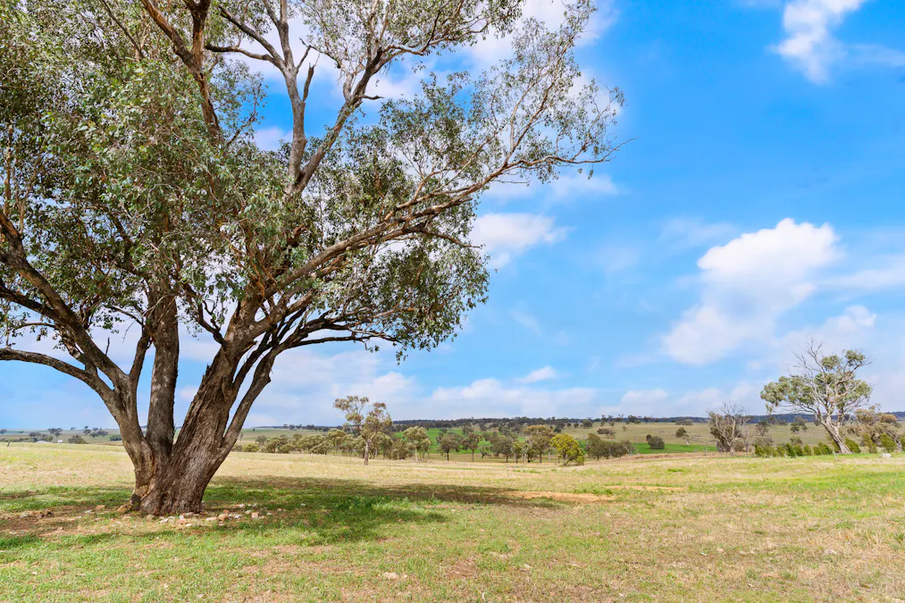 271 Yuranigh Road, Molong, NSW, 2866 - Image 21