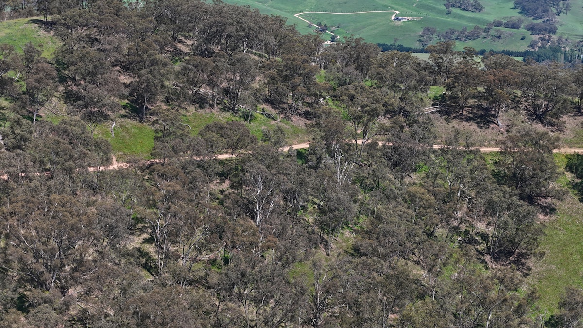 Lot 52 Glen Chee Road, Kanimbla, NSW, 2790 - Image 16