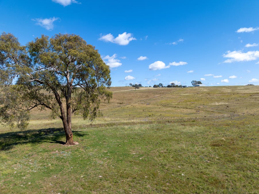 409 Freemantle Road, Mount Rankin, NSW, 2795 - Image 24