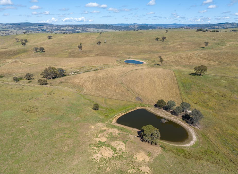 409 Freemantle Road, Mount Rankin, NSW, 2795 - Image 20
