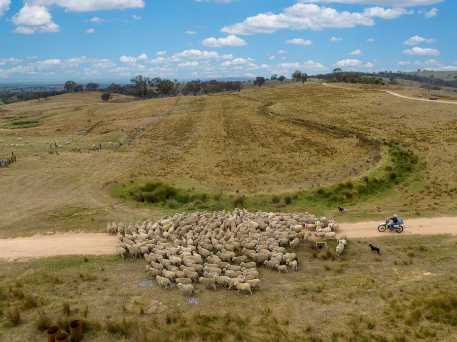 181 The Bridle Track, Duramana, NSW, 2795 - Image 1