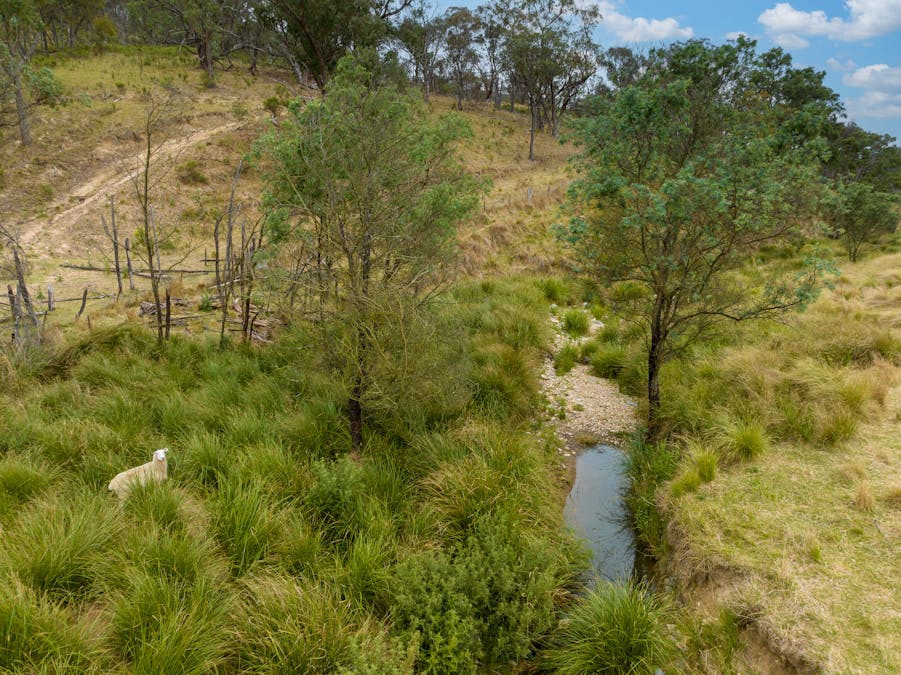 181 The Bridle Track, Duramana, NSW, 2795 - Image 11